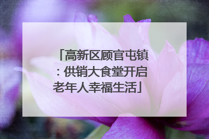 高新区顾官屯镇：供销大食堂开启老年人幸福生活