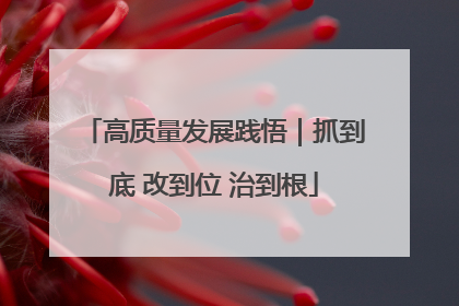高质量发展践悟｜抓到底 改到位 治到根