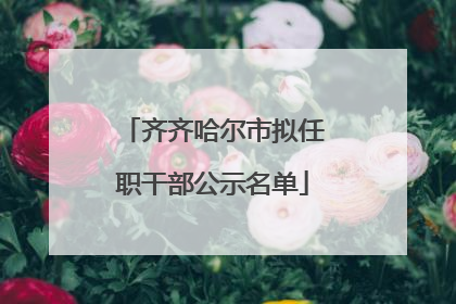 齐齐哈尔市拟任职干部公示名单