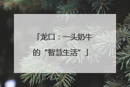 龙口：一头奶牛的“智慧生活”