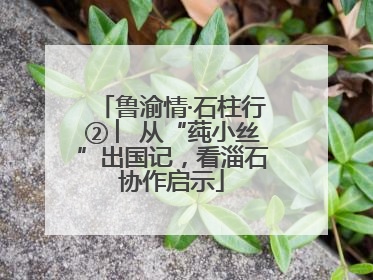 鲁渝情·石柱行② ︳从“莼小丝”出国记，看淄石协作启示