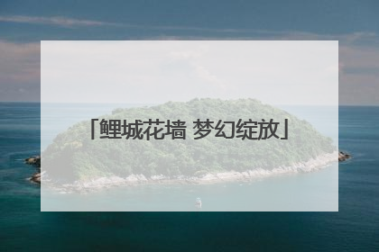 鲤城花墙 梦幻绽放