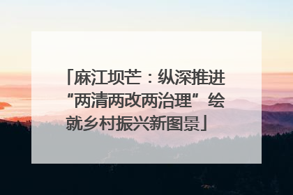 麻江坝芒：纵深推进“两清两改两治理”绘就乡村振兴新图景