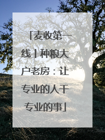 麦收第一线丨种粮大户老房：让专业的人干专业的事
