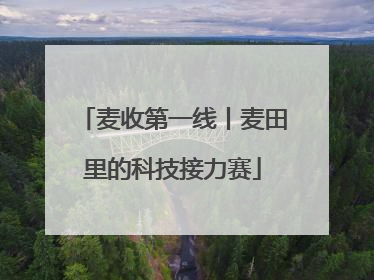 麦收第一线丨麦田里的科技接力赛