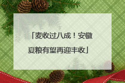 麦收过八成！安徽夏粮有望再迎丰收
