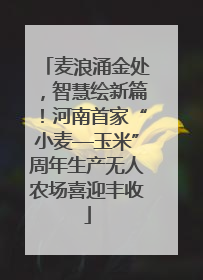 麦浪涌金处，智慧绘新篇！河南首家“小麦—玉米”周年生产无人农场喜迎丰收