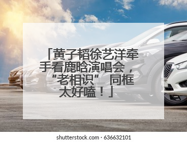 黄子韬徐艺洋牵手看鹿晗演唱会，“老相识” 同框太好嗑！