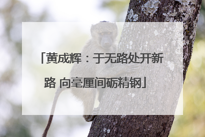 黄成辉：于无路处开新路 向毫厘间砺精钢