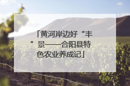 黄河岸边好“丰”景——合阳县特色农业养成记