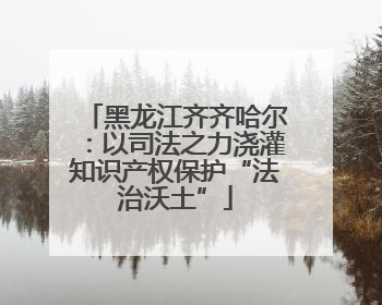黑龙江齐齐哈尔：以司法之力浇灌知识产权保护“法治沃土”