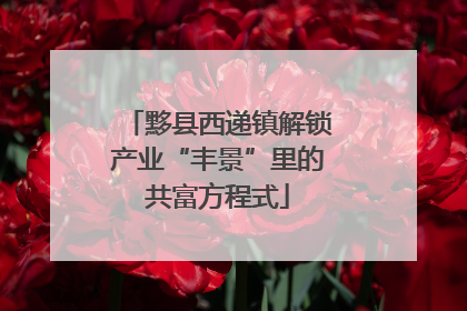 黟县西递镇解锁产业“丰景”里的共富方程式