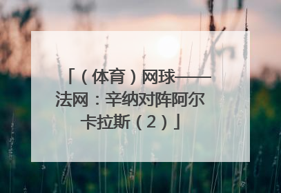 （体育）网球——法网：辛纳对阵阿尔卡拉斯（2）