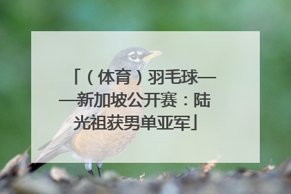 （体育）羽毛球——新加坡公开赛：陆光祖获男单亚军
