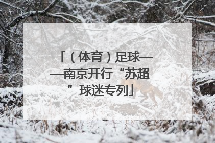 （体育）足球——南京开行“苏超”球迷专列