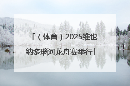 （体育）2025维也纳多瑙河龙舟赛举行