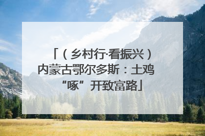 （乡村行·看振兴）内蒙古鄂尔多斯：土鸡“啄”开致富路
