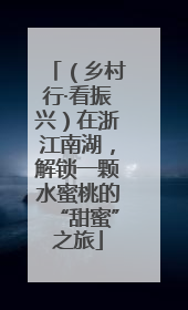 （乡村行·看振兴）在浙江南湖，解锁一颗水蜜桃的“甜蜜”之旅