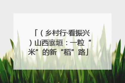 （乡村行·看振兴）山西襄垣：一粒“米”的新“稻”路