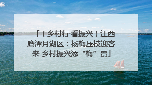 （乡村行·看振兴）江西鹰潭月湖区：杨梅压枝迎客来 乡村振兴添“梅”景