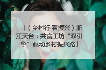 （乡村行·看振兴）浙江天台：共富工坊“双引擎”驱动乡村振兴路
