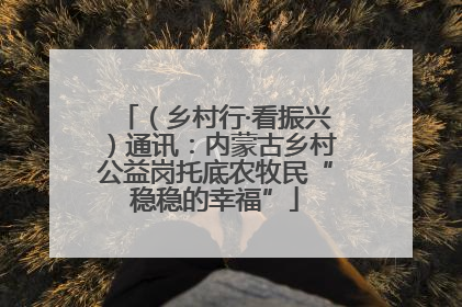 （乡村行·看振兴）通讯：内蒙古乡村公益岗托底农牧民“稳稳的幸福”