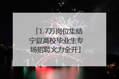 1.7万岗位集结 宁夏高校毕业生专场招聘火力全开