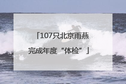 107只北京雨燕完成年度“体检”