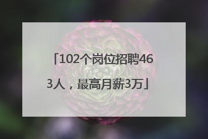 102个岗位招聘463人，最高月薪3万