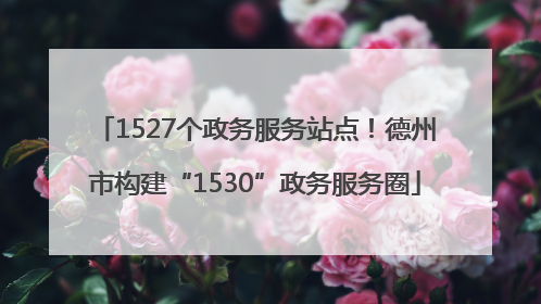 1527个政务服务站点！德州市构建“1530”政务服务圈