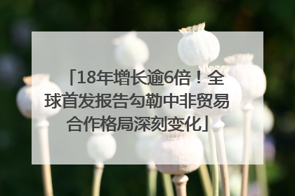 18年增长逾6倍！全球首发报告勾勒中非贸易合作格局深刻变化