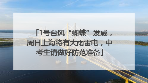 1号台风“蝴蝶”发威，周日上海将有大雨雷电，中考生请做好防范准备