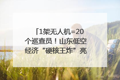 1架无人机=20个巡查员！山东低空经济“硬核王炸”亮相青岛，下一个万亿赛道藏在这里