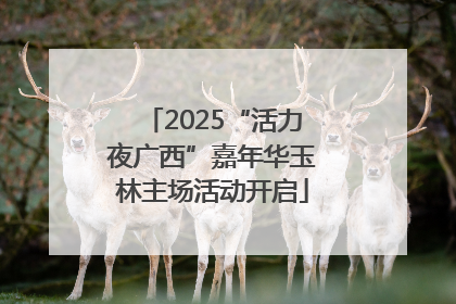 2025“活力夜广西”嘉年华玉林主场活动开启