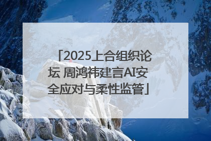2025上合组织论坛 周鸿祎建言AI安全应对与柔性监管