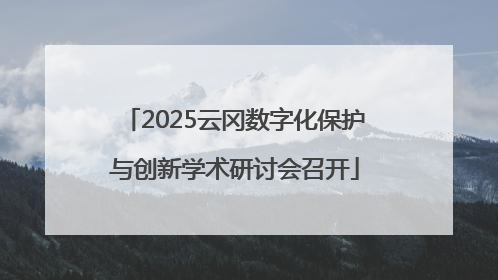 2025云冈数字化保护与创新学术研讨会召开