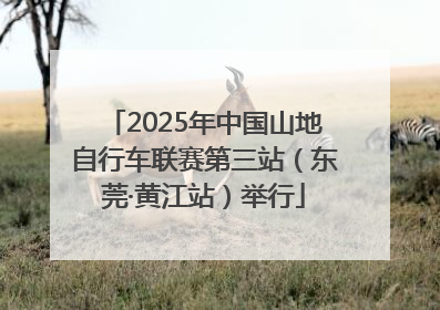 2025年中国山地自行车联赛第三站（东莞·黄江站）举行