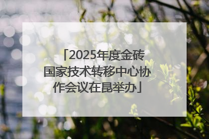 2025年度金砖国家技术转移中心协作会议在昆举办