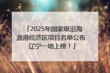2025年国家级沿海渔港经济区项目名单公布 辽宁一地上榜！