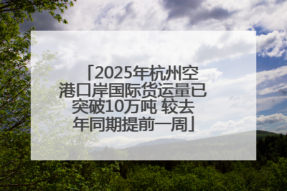 2025年杭州空港口岸国际货运量已突破10万吨 较去年同期提前一周