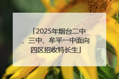 2025年烟台二中、三中、牟平一中面向四区招收特长生