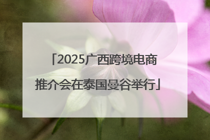 2025广西跨境电商推介会在泰国曼谷举行