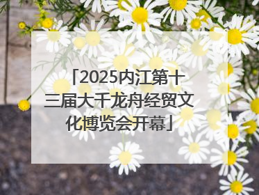 2025内江第十三届大千龙舟经贸文化博览会开幕