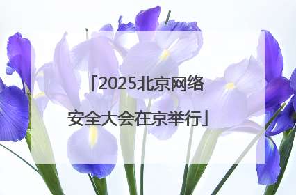 2025北京网络安全大会在京举行