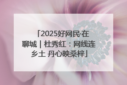2025好网民·在聊城｜杜秀红：网线连乡土 丹心映桑梓