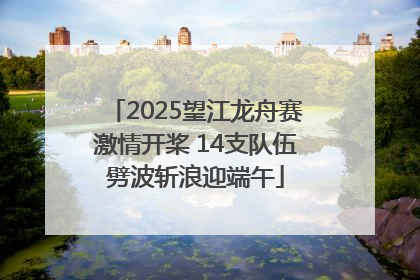 2025望江龙舟赛激情开桨 14支队伍劈波斩浪迎端午