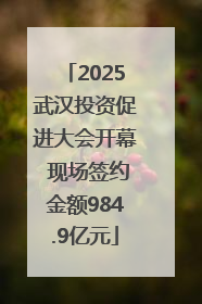 2025武汉投资促进大会开幕 现场签约金额984.9亿元