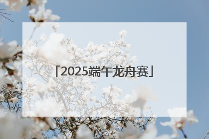 2025端午龙舟赛