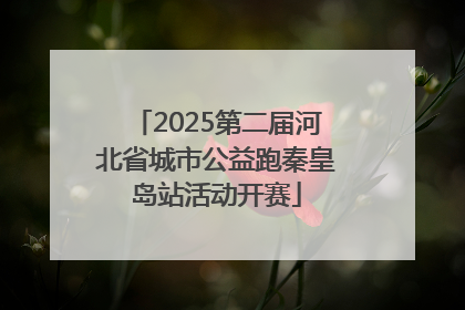 2025第二届河北省城市公益跑秦皇岛站活动开赛