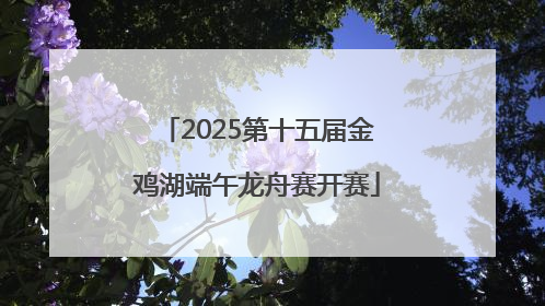 2025第十五届金鸡湖端午龙舟赛开赛